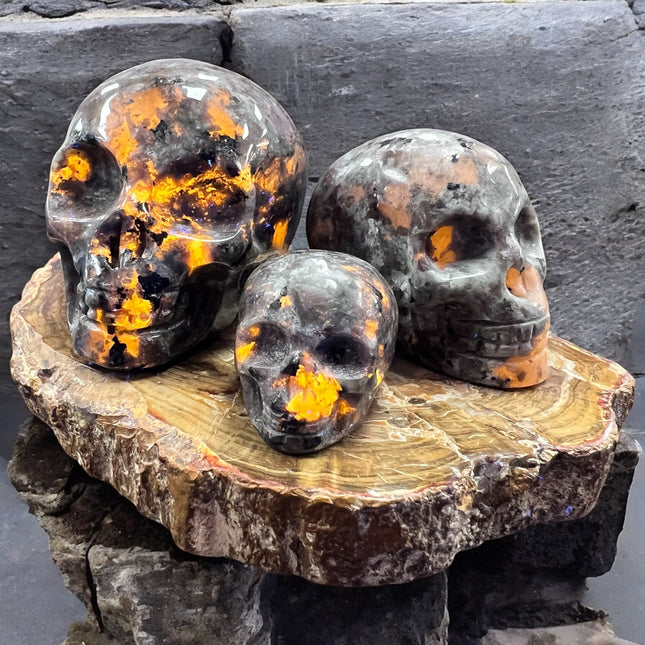 Close-up of glowing Yooperlite skull carvings in various sizes, Raven's Cauldron crystal shop, 6 N Sandusky St, Delaware, OH 43015