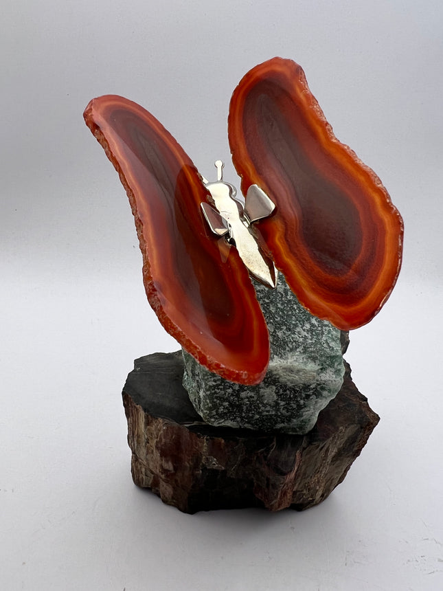Banded Agate Butterfly - Raven's Cauldron