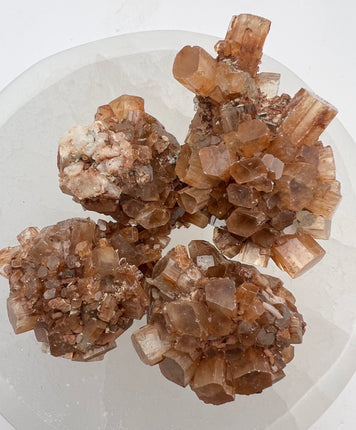 Aragonite Cluster - Energy - Raven's Cauldron