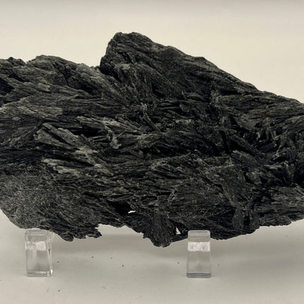 Black Kyanite Crystal - Large - Raven's Cauldron
