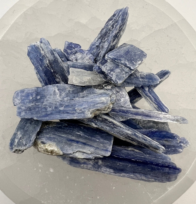 Blue Kyanite Crystal - 1-2 inch specimens - Raven's Cauldron