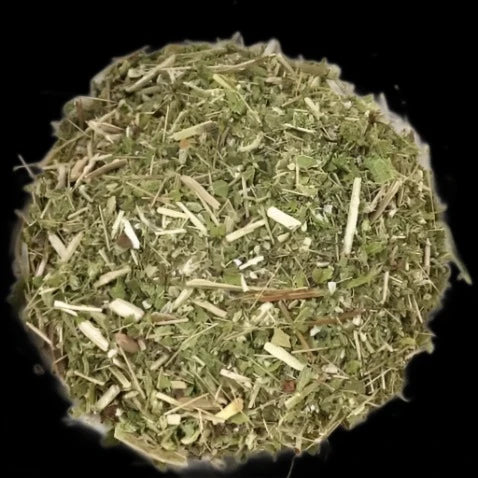 Boneset Herb - Organic - Raven's Cauldron