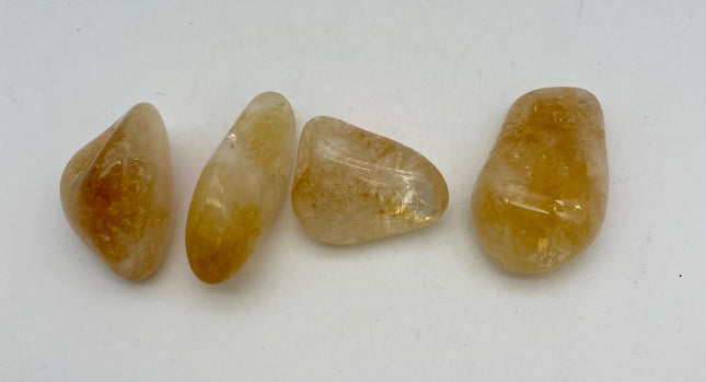 Citrine Palm Stone - Raven's Cauldron