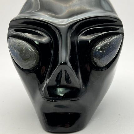 Black Obsidian Alien Skull with Labradorite Eyes - Raven's Cauldron