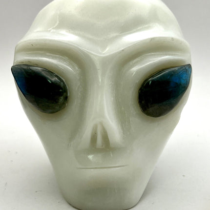 White Jade Alien Skull with Labradorite Eyes - Raven's Cauldron