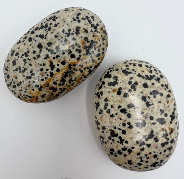 Dalmatian Jasper Palm Stone - Raven's Cauldron