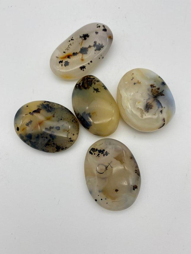 Dendritic Agate palm stone - Raven's Cauldron