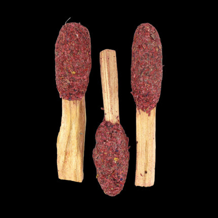 Dragon's Blood Sage & Palo Santo Stick Pop - Raven's Cauldron