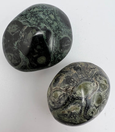 Kambaba Jasper palm stone - Raven's Cauldron