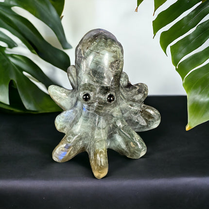 Labradorite Octopus Carving - Raven's Cauldron