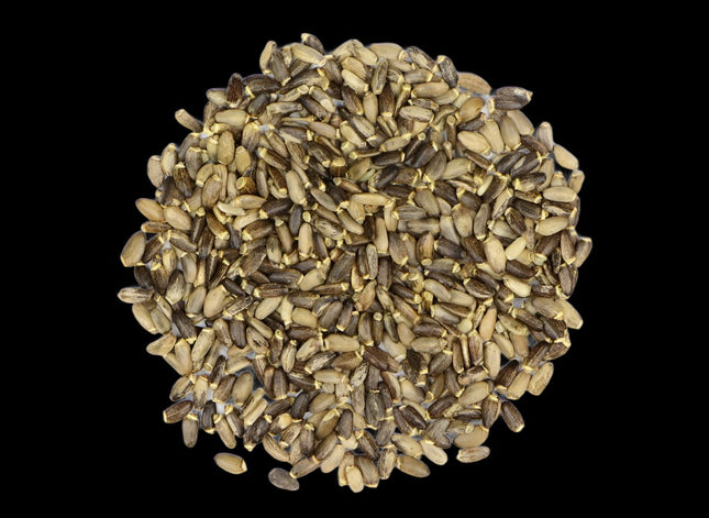 Milk Thistle Seed - Raven's Cauldron