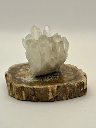 Quartz Cluster - Brazilian - Raven's Cauldron