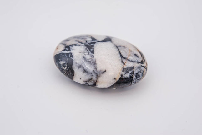 Shell Jasper Palm Stone - Raven's Cauldron