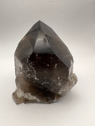 Smoky Quartz Point - large - Raven's Cauldron