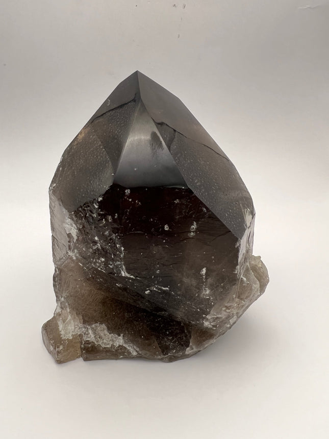 Smoky Quartz Point - large - Raven's Cauldron