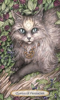 Soul Cats Tarot - Raven's Cauldron