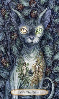 Soul Cats Tarot - Raven's Cauldron